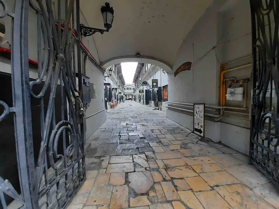 Amytis Flat Old City Bucharest Apartment